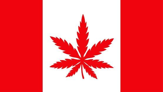 Canada Marijuana Flag
