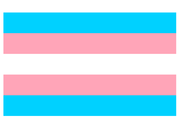 Transgender Pride Flag – Irving Rivers