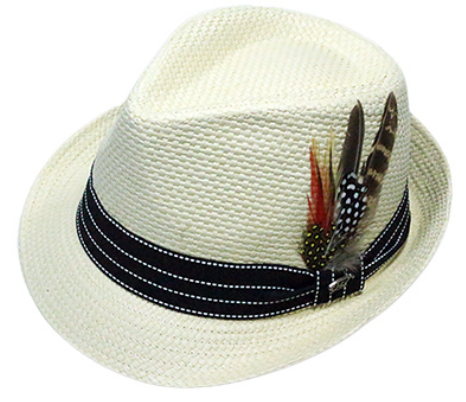 Fedora with feather
